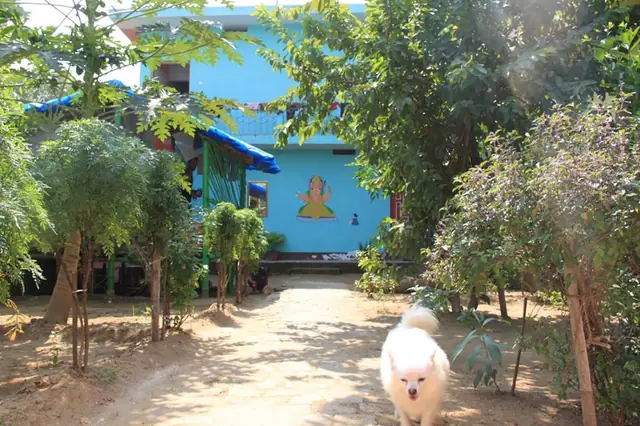 Le jardin de l'école